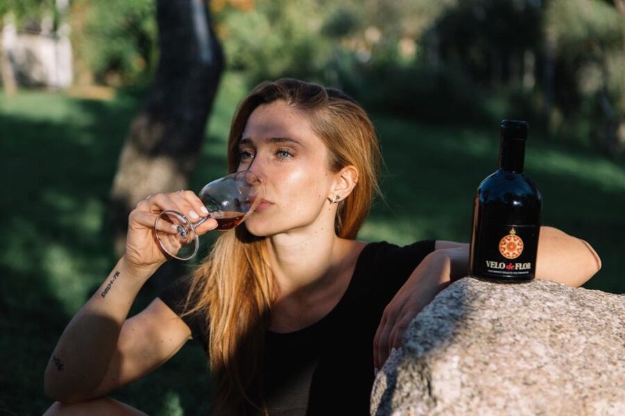 Olbia: Gallura Winery Guided Tour with Tasting - Should You Book the Gallura Winery Tour?
