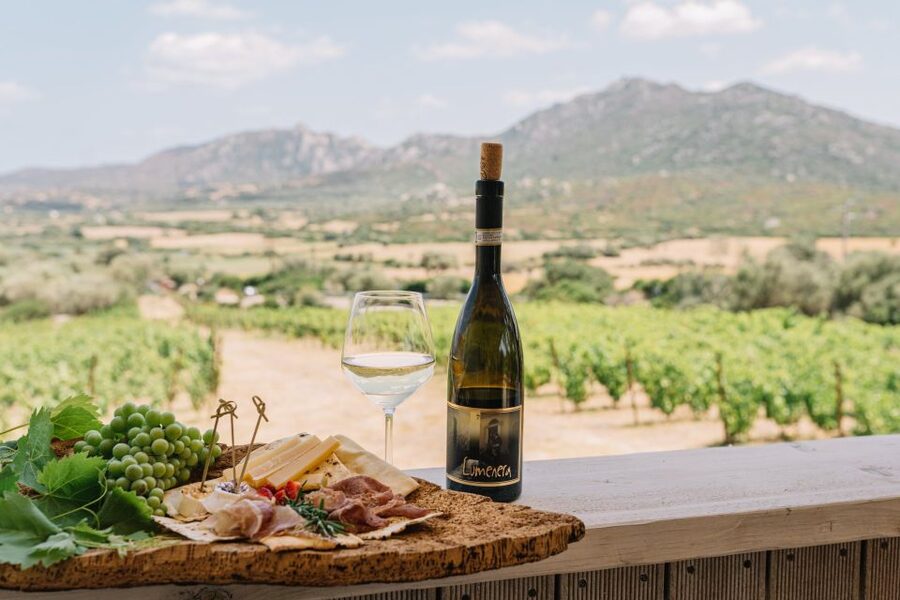 Olbia: Gallura Winery Guided Tour with Tasting - A Small Gallura Winery With a Personal Feel