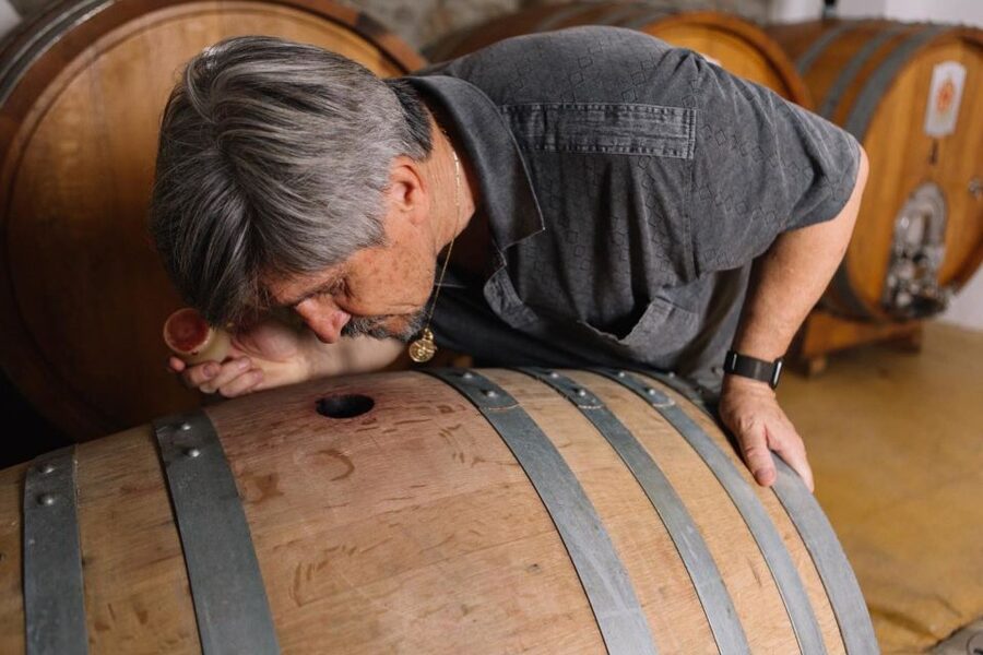 Olbia: Gallura Winery Guided Tour with Tasting - The Rescue Farm Adds Something Different