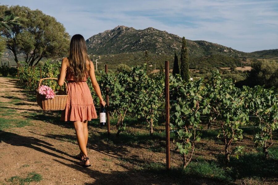 Olbia: Gallura Winery Guided Tour with Tasting - What the Guides Add to the Visit