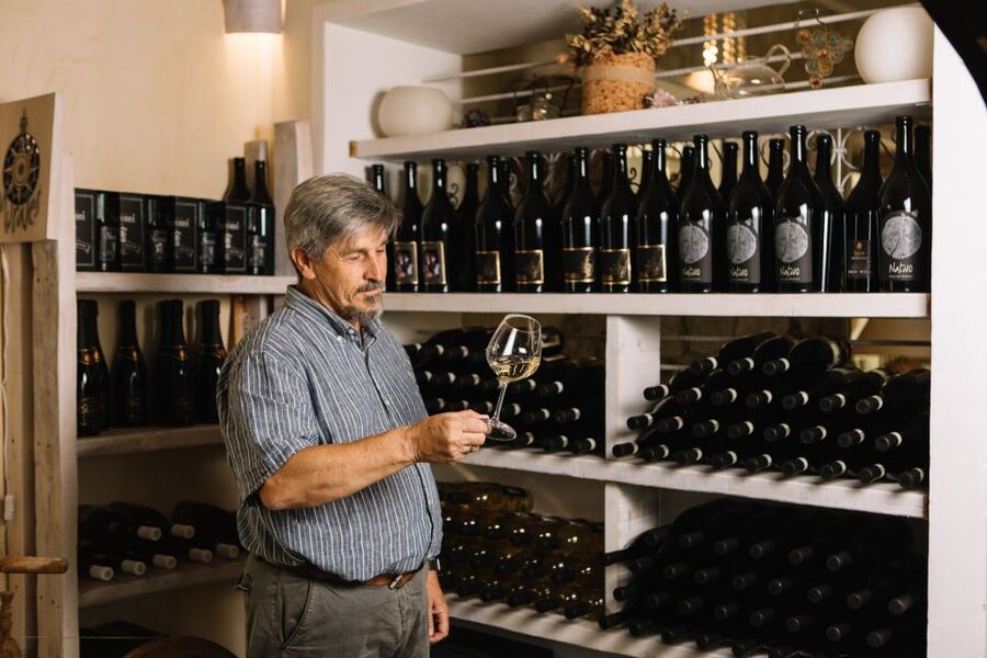 Olbia: Gallura Winery Guided Tour with Tasting - Booking Details and Practical Value