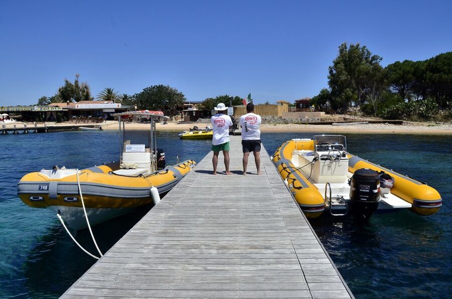 Olbia: Tavolara and Molara Snorkeling Boat Tour - Molara natural pools and the fish below