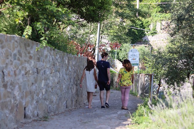 Olive oil tasting in Sorrento - Walking through Frantoio Gargiulo’s old olive groves