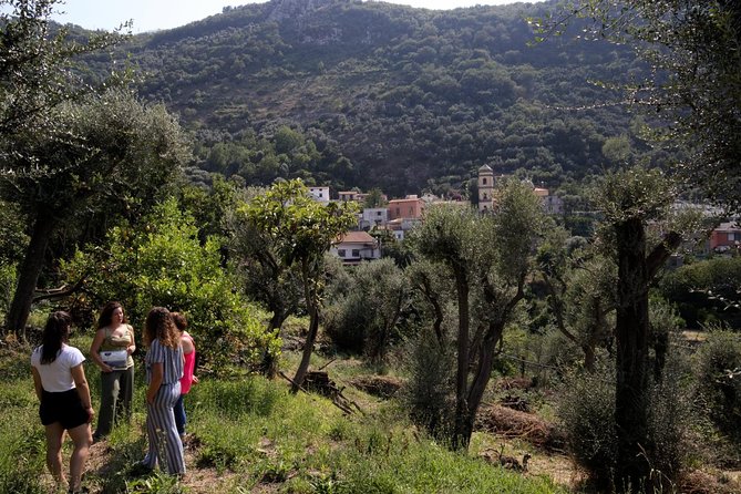 Olive oil tasting in Sorrento - Tips for getting more from the tasting