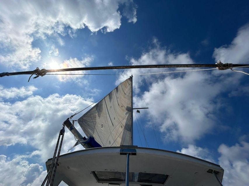 Palermo: Full-Day Snorkeling Boat Tour with Lunch and Wine - At a glance