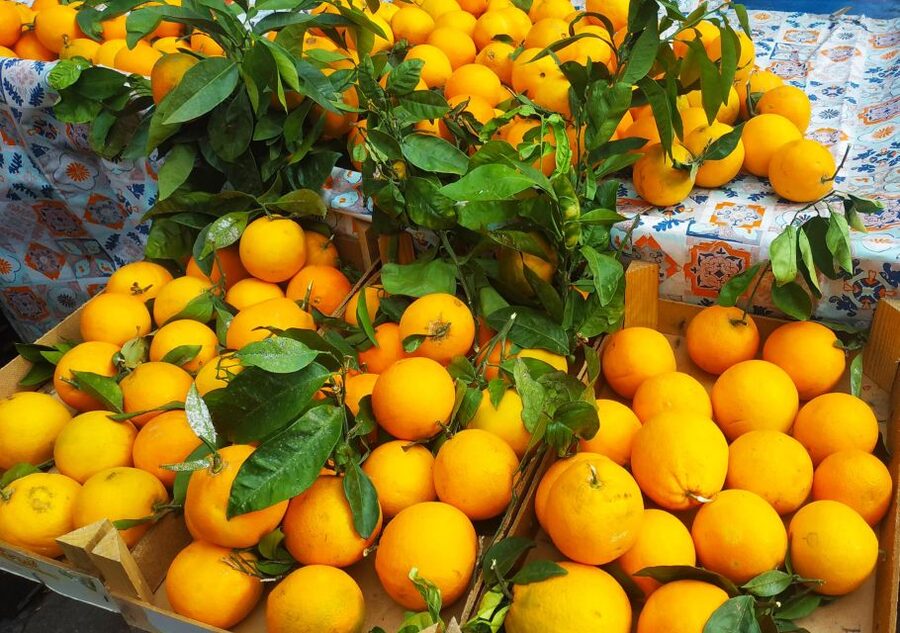 Palermo: Street Food Walking Tour with Local Guide & Tasting - Walking past Palermo’s Cathedral and Quattro Canti