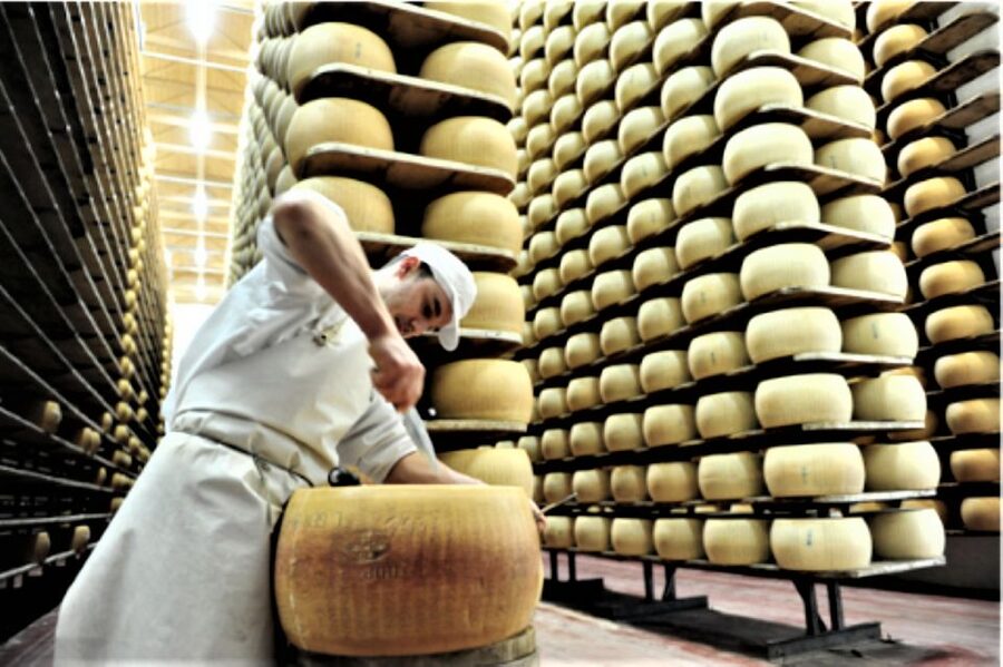 Parma: Parmigiano Production and Parma Ham Tour & Tasting - Who will get the most from this experience