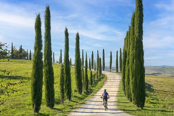Pisa, Siena and San Gimignano Day Trip with Lunch & Wine Pairing - San Gimignano and its medieval towers