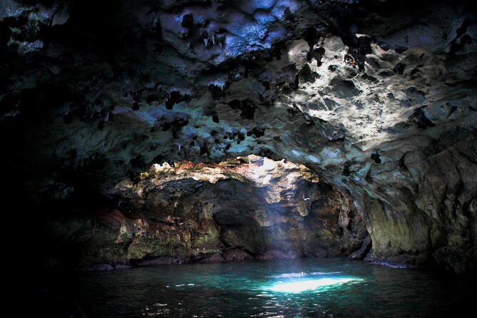 Polignano a Mare boat tour emotions, caves, diving and appetizers - Key details before you book
