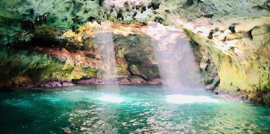 Polignano a Mare: Boat Trip, Swim & Cave with Aperitif - Should you book the Dorino boat tour?