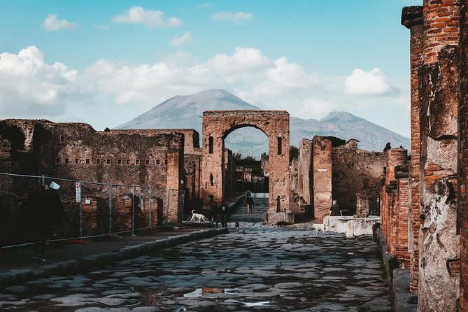Pompeii: 2 Hour Private Tour with an Archeologist Guide - What the $193.57 Price Means