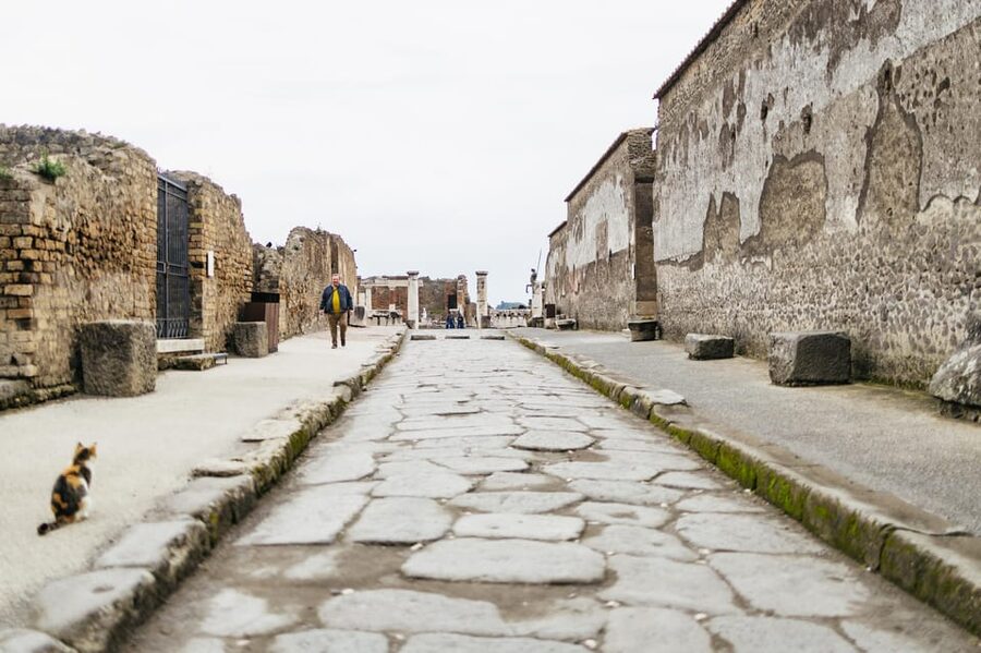 Pompeii: Afternoon to Sunset Guided Tour with Ticket - Walking effort, weather, and who should skip it
