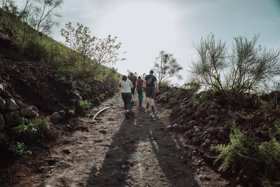 Pompeii and Mount Vesuvius excursion from Naples - Hiking Mount Vesuvius to the crater rim