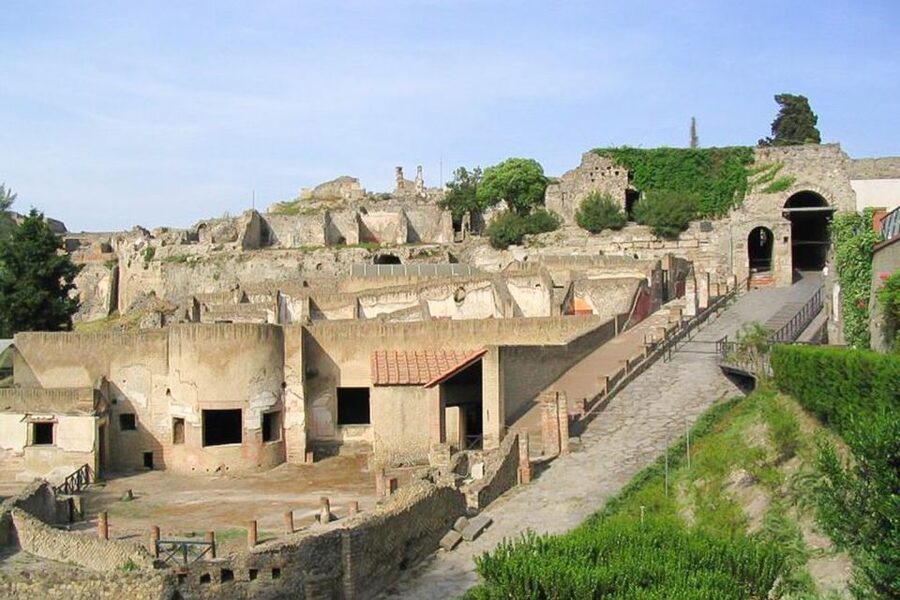 Pompeii and Vesuvius Full-Day Tour from Amalfi Coast - Is $164.26 a fair price?