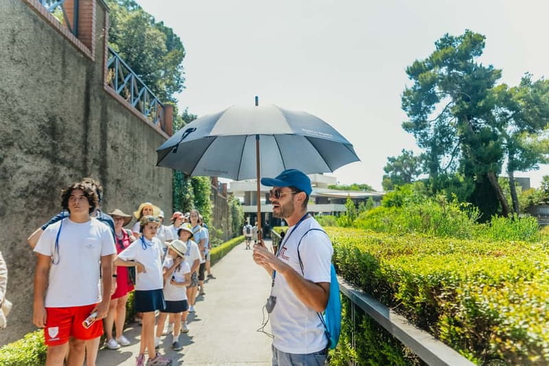 Pompeii: Archaeological Park Tour with Ticket on request - What two hours can and cannot do
