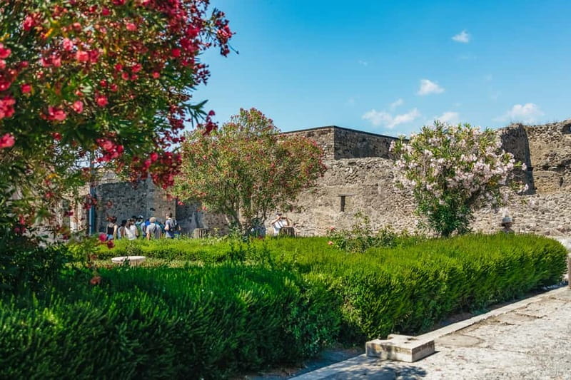 Pompeii: Archaeological Park Tour with Ticket on request - Walking into an everyday Roman town