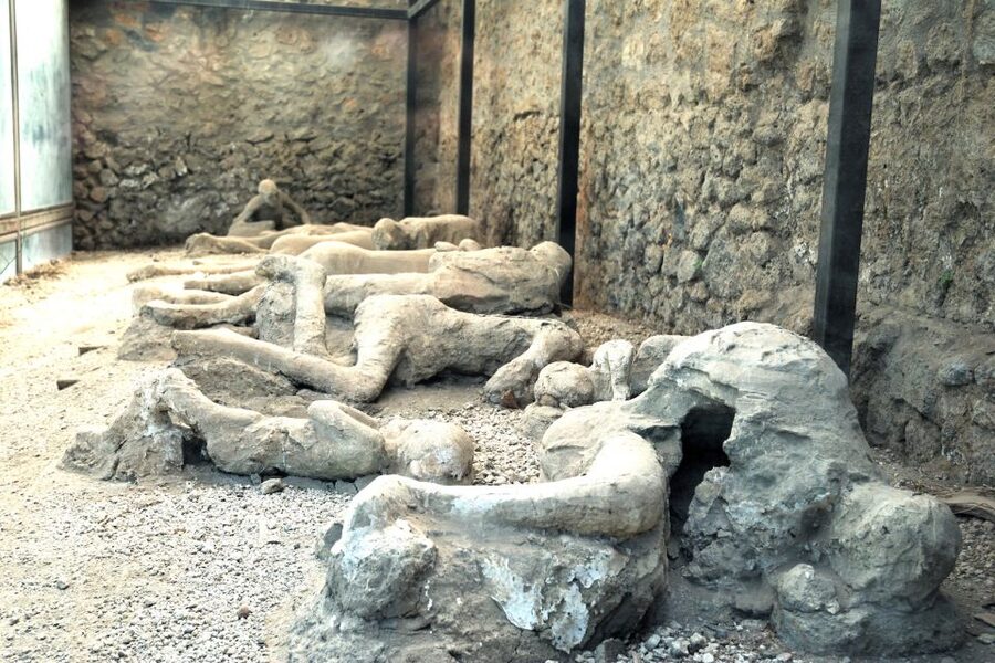 Pompeii: Entry Ticket with Optional Audio Guide - What you will see inside the ancient city