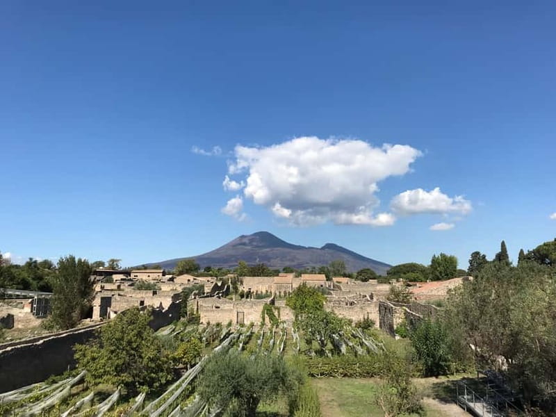 Pompeii: Exclusive Tour with Archaeologist and Entry Tickets - Why an archaeologist changes the Pompeii visit