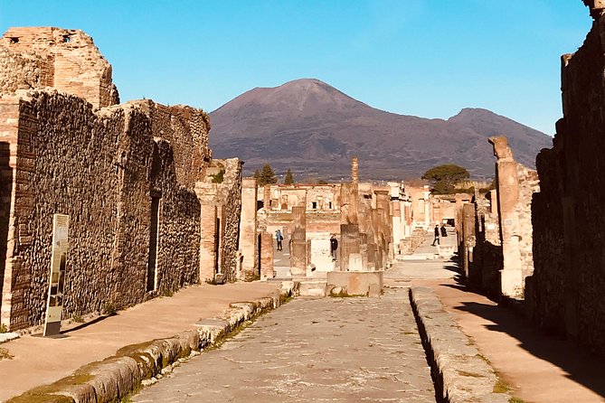 PompeiI Exclusive Tour with your Archaeologist in a Small Group - The House of the Faun and changing access