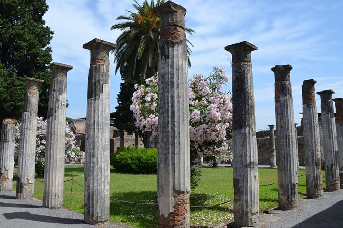 Pompeii: Guided Small Group Tour Max 6 People with Private Option - Is $168.17 per person good value?