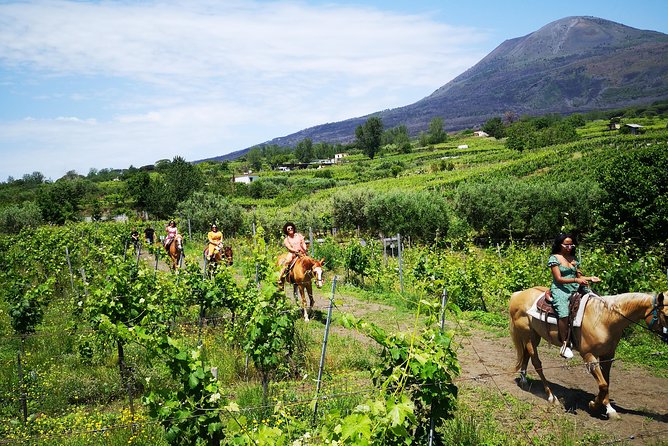 Pompeii Guided Tour & Horse Riding on Vesuvius with Lunch - Starting at Pompeii with a licensed archaeologist