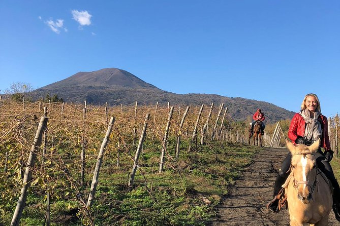 Pompeii Guided Tour & Horse Riding on Vesuvius with Lunch - Transportation keeps a complicated day manageable