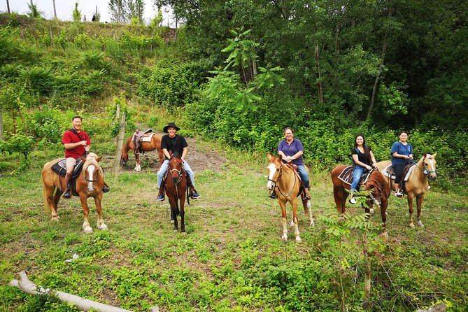 Pompeii Guided Tour & Horse Riding on Vesuvius with Lunch - Final verdict: book it for variety, not depth