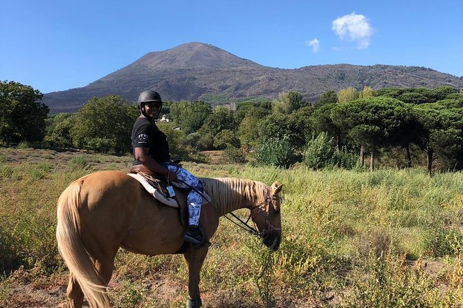 Pompeii Guided Tour & Horse Riding on Vesuvius with Lunch - The Vesuvius vineyard lunch is the heart of the day