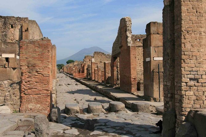Pompeii & Herculaneum Day Trip from Naples with Lunch - Why seeing Pompeii and Herculaneum together works
