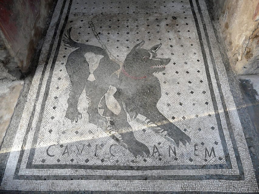 Pompeii: Skip-the-Line Entry & Audioguide - Pompeii’s Forum and the First View of Vesuvius