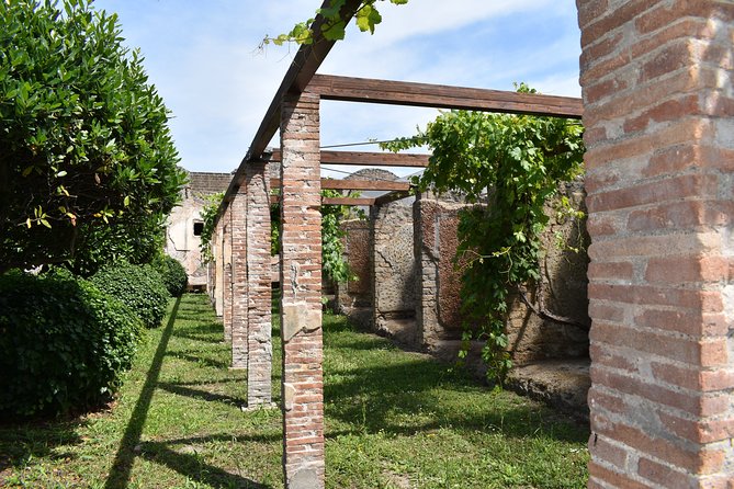Pompeii Skip-the-line Tour with Archaeologist Guide - Gladiator barracks and the Lupanare
