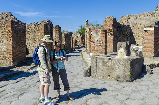 Pompeii: Small Group Tour with an Archaeologist - The House of the Faun and the House of the Vettii