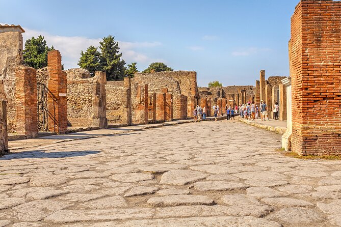 Pompeii Ticket + Tour with Optional Tasting Experience at Pompeii - Two hours on ancient stones