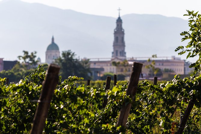Pompeii Vineyard Escape: Private Wine Tasting & Lunch - Arriving at Bosco de Medici Winery