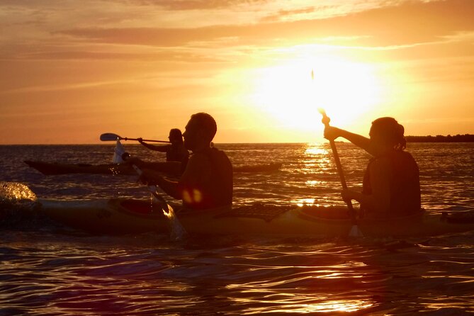 Porto Selvaggio kayak tour + cliff diving + cold spring immersion - Key points to know before you book