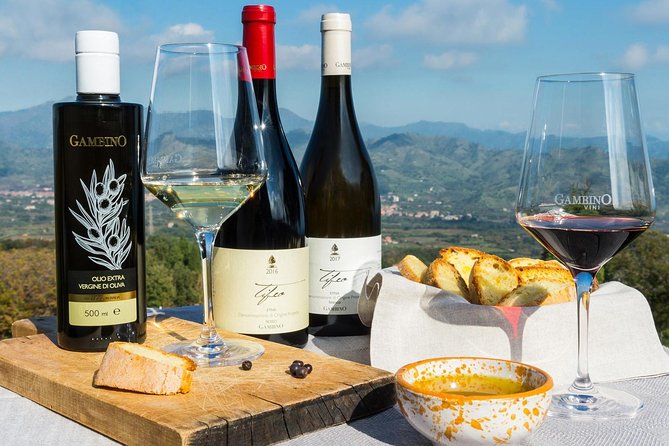 Private 6-Hour Tour of Three Etna Wineries with food&wine tasting - First stop: learn how Etna wine is made