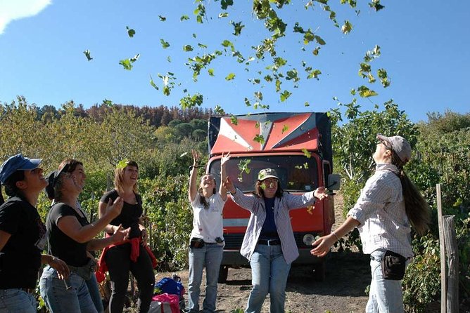 Private 6-Hour Tour of Three Etna Wineries with food&wine tasting - Second stop: the long Sicilian lunch
