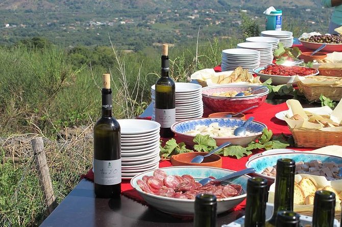 Private 6-Hour Tour of Three Etna Wineries with food&wine tasting - What you will eat, and how much wine to expect