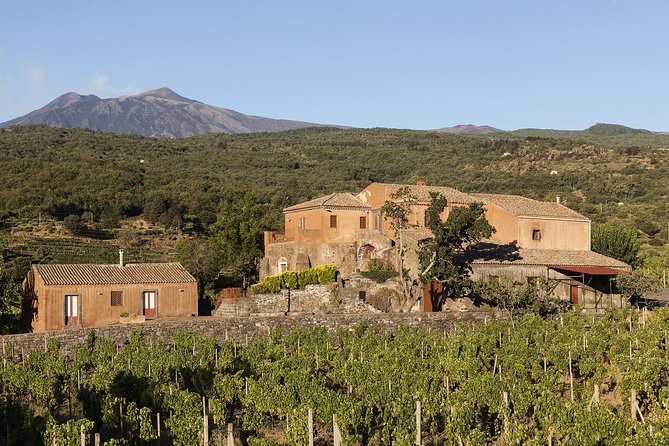 Private 6-Hour Tour of Three Etna Wineries with food&wine tasting - The views are part of the value