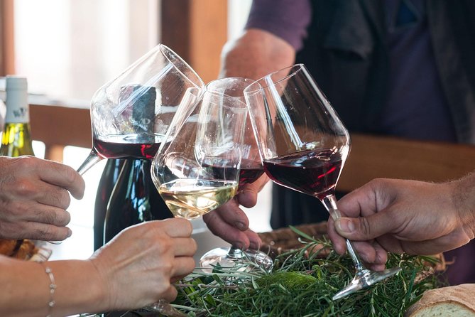 Private 6-Hour Tour of Three Etna Wineries with food&wine tasting - A practical warning for cruise passengers