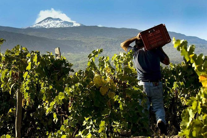 Private 6-Hour Tour of Three Etna Wineries with food&wine tasting - The private pickup makes the day easy
