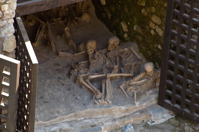 Private Day Tour to Vesuvius, Herculaneum & Pompeii with Pick Up - One day, three very different views of the eruption