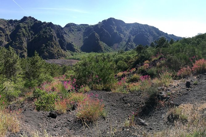 Private Day Tour to Vesuvius, Herculaneum & Pompeii with Pick Up - Private transport is the main practical advantage