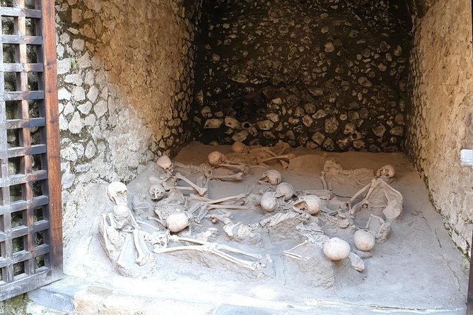 Private Day Tour to Vesuvius, Herculaneum & Pompeii with Pick Up - What the guide adds to the ruins