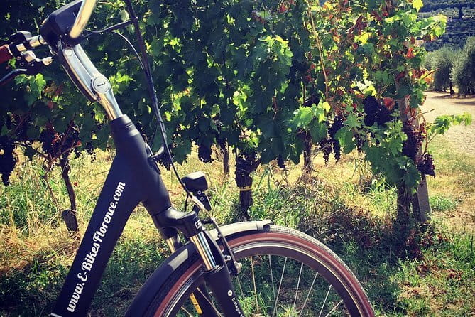 Private Self-Guided E-Bike Ride in Tuscany with Vineyard Visit - Key points to know before you book