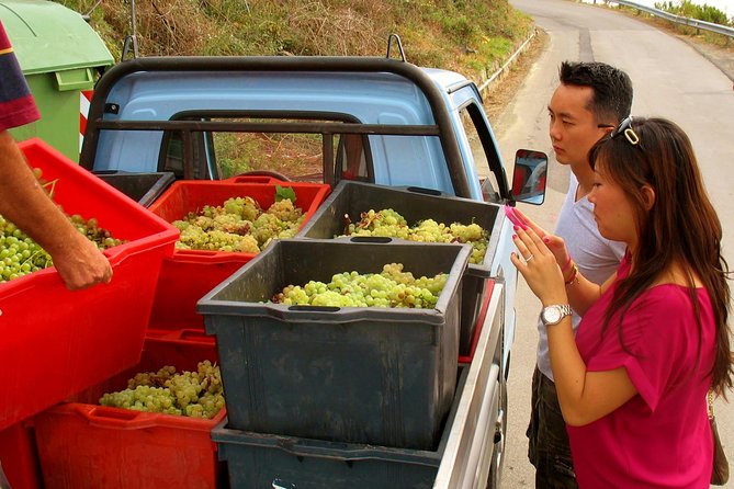 Private Tour to Cinque Terre from Florence - How much value do you get for $952.25?