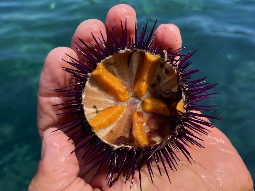 Procida: Boat Tour with Swimming Stops and Underwater Photos - Is $53 a fair price for two hours?