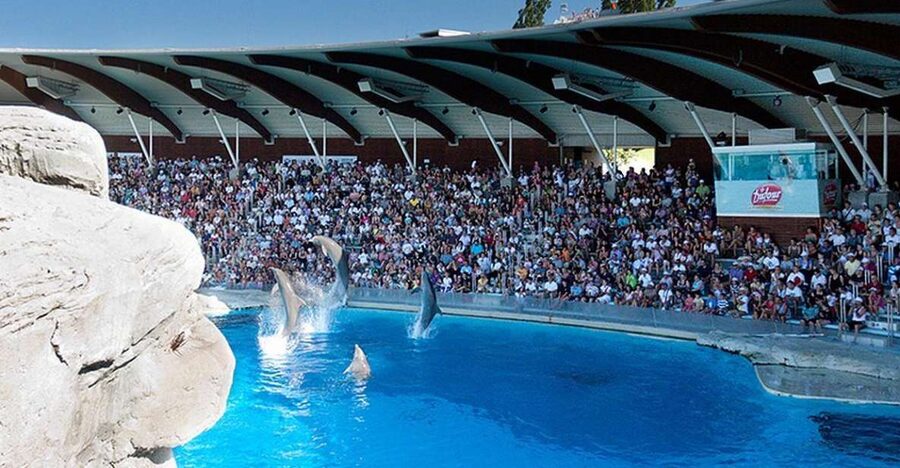 Riccione: Oltremare Park Entrance Ticket - Key points to know before you go