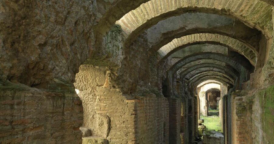 Rome: Ancient History and Colosseum Underground Tour - Why the Colosseum underground changes the visit