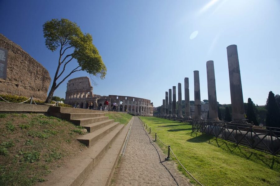Rome: Arena Colosseum Tour with Arena Access - Who will enjoy this Colosseum tour?